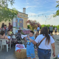 L'associazione Milele organizza il 'Picnic delle Meraviglie'