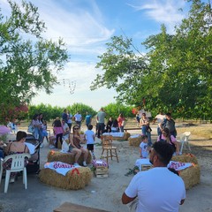 L'associazione Milele organizza il 'Picnic delle Meraviglie'