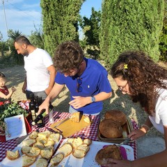 L'associazione Milele organizza il 'Picnic delle Meraviglie'