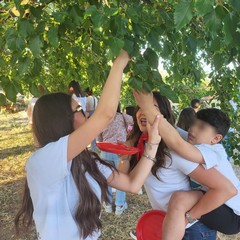 L'associazione Milele organizza il 'Picnic delle Meraviglie'