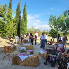 L'associazione Milele organizza il 'Picnic delle Meraviglie'