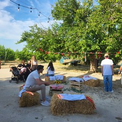 L'associazione Milele organizza il 'Picnic delle Meraviglie'
