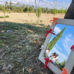 L'associazione Milele organizza il 'Picnic delle Meraviglie'