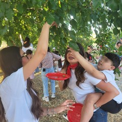 L'associazione Milele organizza il 'Picnic delle Meraviglie'