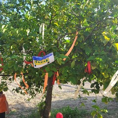 L'associazione Milele organizza il 'Picnic delle Meraviglie'