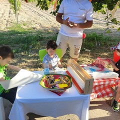 L'associazione Milele organizza il 'Picnic delle Meraviglie'