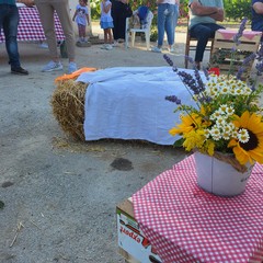 L'associazione Milele organizza il 'Picnic delle Meraviglie'