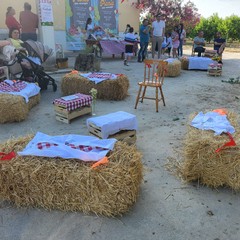L'associazione Milele organizza il 'Picnic delle Meraviglie'