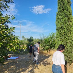 L'associazione Milele organizza il 'Picnic delle Meraviglie'