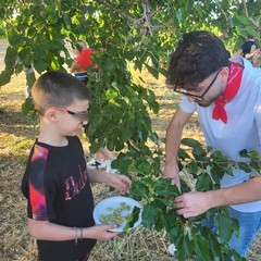 L'associazione Milele organizza il 'Picnic delle Meraviglie'