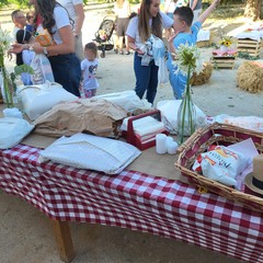 L'associazione Milele organizza il 'Picnic delle Meraviglie'
