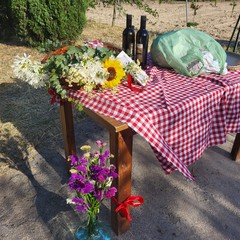 L'associazione Milele organizza il 'Picnic delle Meraviglie'