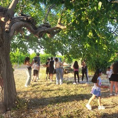L'associazione Milele organizza il 'Picnic delle Meraviglie'