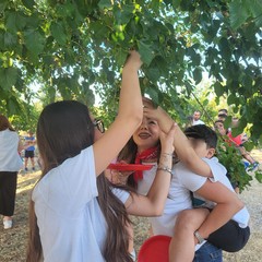 L'associazione Milele organizza il 'Picnic delle Meraviglie'