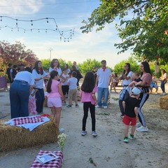 L'associazione Milele organizza il 'Picnic delle Meraviglie'