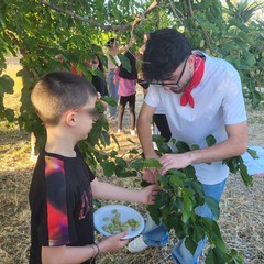 L'associazione Milele organizza il 'Picnic delle Meraviglie'