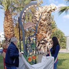 San Ferdinando di Puglia: il paese delle pesche e dei carciofi