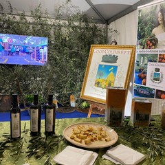 64ª fiera nazionale del carciofo mediterraneo e del prodotto ortofrutticolo