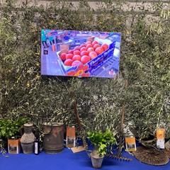 64ª fiera nazionale del carciofo mediterraneo e del prodotto ortofrutticolo