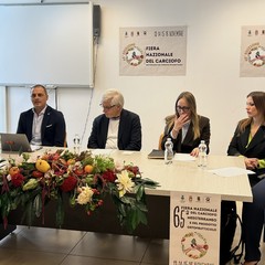 Tradizione e innovazione agricola: torna a San Ferdinando la Fiera nazionale del carciofo