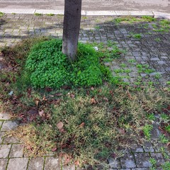 A San Ferdinando giochi per bambini danneggiati o distrutti