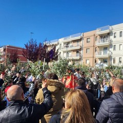 Domenica delle Palme: a San Ferdinando si dà inizio ai riti della Passione