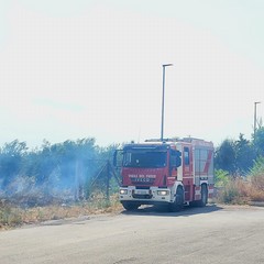 A San Ferdinando di Puglia incendiate sterpaglie presso la zona San Tommaso