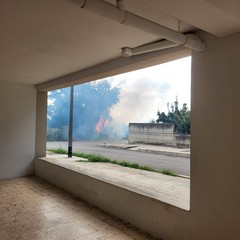 A San Ferdinando di Puglia incendiate sterpaglie presso la zona San Tommaso