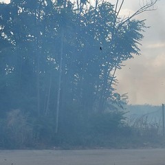 A San Ferdinando di Puglia incendiate sterpaglie presso la zona San Tommaso