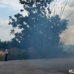 A San Ferdinando di Puglia incendiate sterpaglie presso la zona San Tommaso