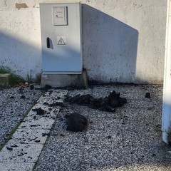 A San Ferdinando incendiato un bidone per la raccolta di indumenti usati