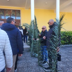 Domenica delle Palme: a San Ferdinando si dà inizio ai riti della Passione