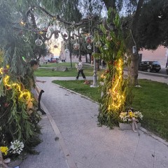 Peschè a San Ferdinando di Puglia