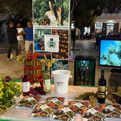 La 'pesca ferita' diventa la protagonista dell'edizione di Peschè 2026