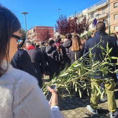 Domenica delle Palme: a San Ferdinando si dà inizio ai riti della Passione