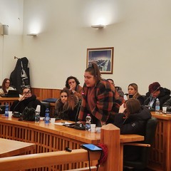 A San Ferdinando convocato in adunanza straordinaria il Consiglio Comunale