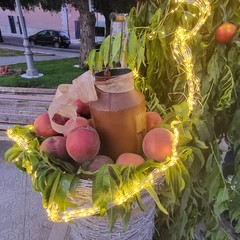 Peschè a San Ferdinando di Puglia