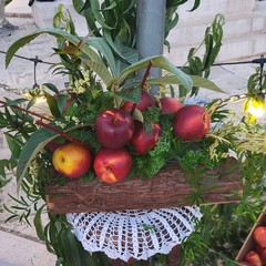 Peschè a San Ferdinando di Puglia