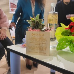 Un convegno conclusivo sulla prevenzione, la longevità e la qualità di vita nella salute femminile