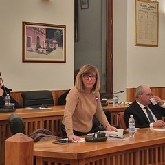 A San Ferdinando convocato in adunanza straordinaria il Consiglio Comunale