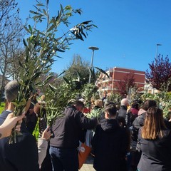 Domenica delle Palme: a San Ferdinando si dà inizio ai riti della Passione