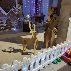 “Natale a casa Pasculli”: le parole diventano protagoniste