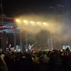 A San Ferdinando giunge al termine la 65ª edizione della fiera del carciofo