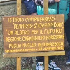 Progetto nazionale "Un Albero per il futuro": all'I.C. "De Amicis- Giovanni XXIII" piantati due alberelli