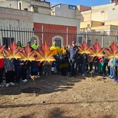 Progetto nazionale "Un Albero per il futuro": all'I.C. "De Amicis- Giovanni XXIII" piantati due alberelli