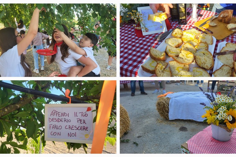L'associazione Milele organizza il 'Picnic delle Meraviglie'. <span>Foto Anna Verzicco</span>