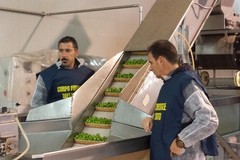 Latticini in cattivo stato e contraffazione di olive: sequestri a San Ferdinando