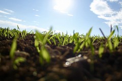 Coldiretti: «Sos semine, raddoppiato il costo dei fertilizzanti»