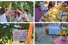 L'associazione Milele organizza il 'Picnic delle Meraviglie'
