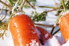Neve nella Bat, esplodono i prezzi di frutta e verdura